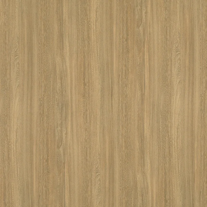 F6407 Вяз медовый